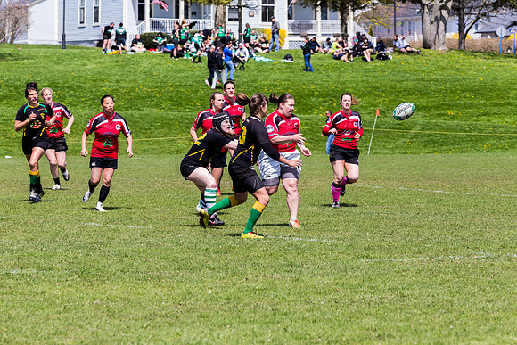 IMG_7175.jpg