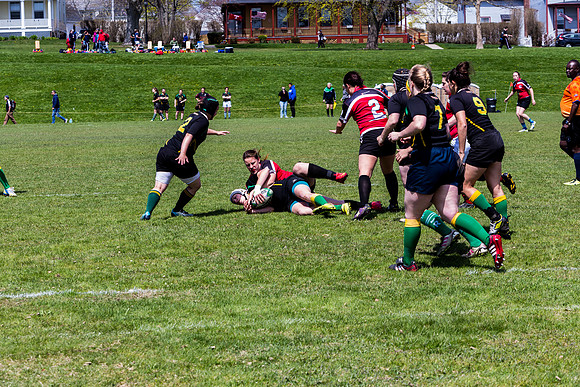 IMG_7187.jpg