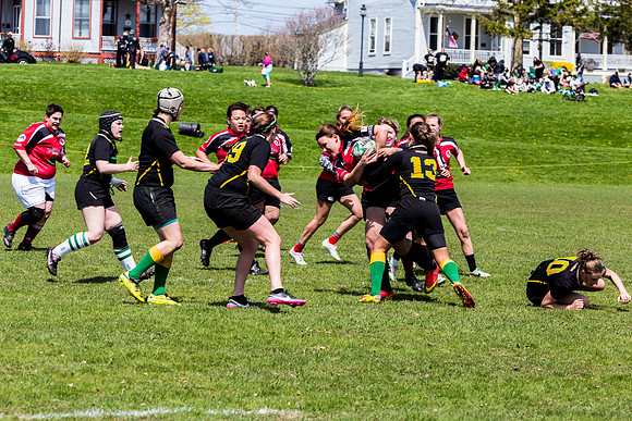 IMG_7200.jpg