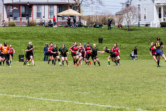 IMG_7254.jpg