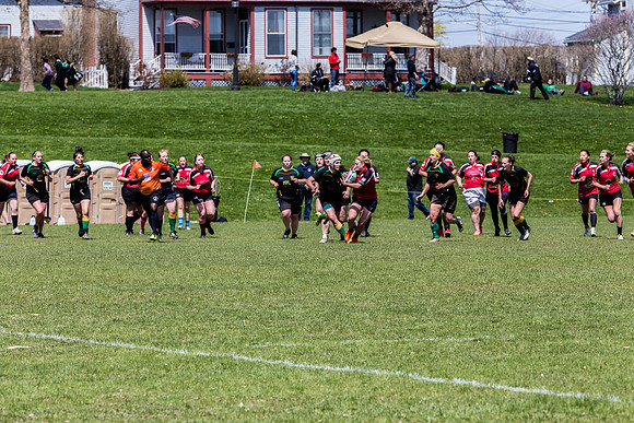 IMG_7255.jpg