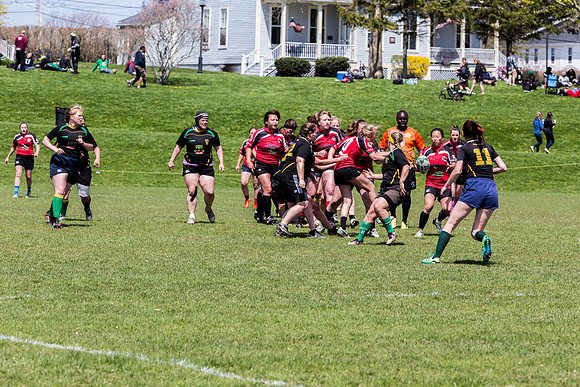 IMG_7264.jpg