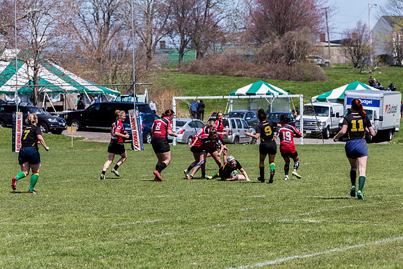 IMG_7272.jpg