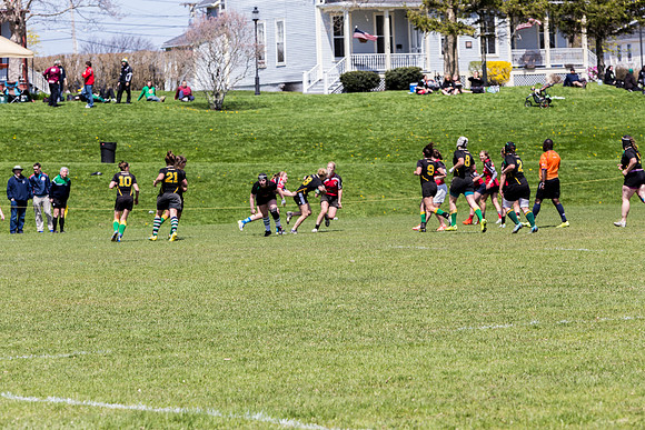 IMG_7276.jpg
