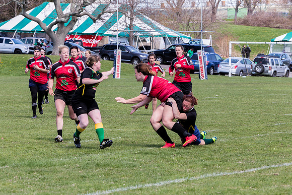 IMG_7291.jpg