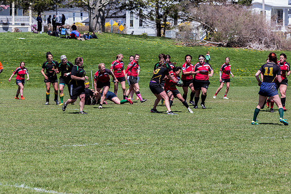 IMG_7326.jpg