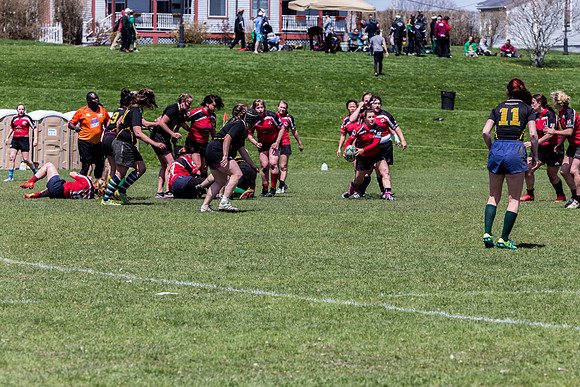 IMG_7337.jpg