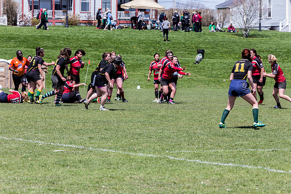 IMG_7338.jpg