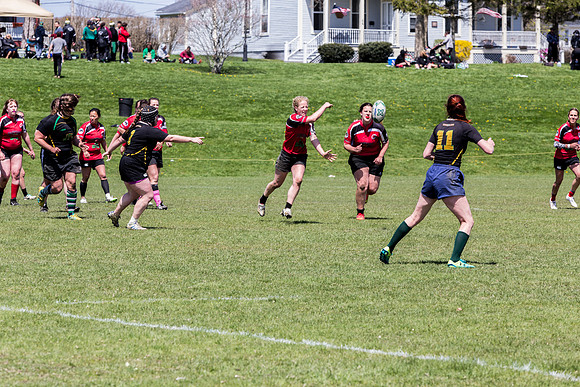 IMG_7339.jpg