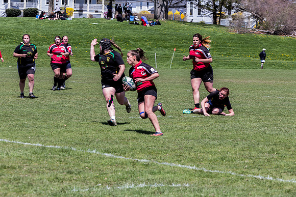 IMG_7344.jpg