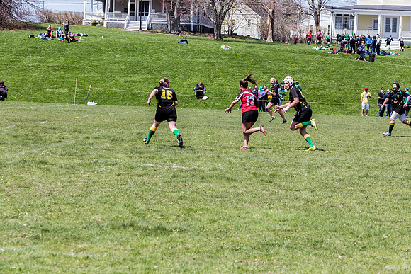 IMG_7350.jpg