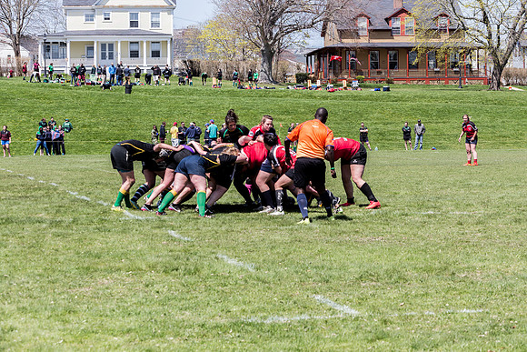 IMG_7358.jpg