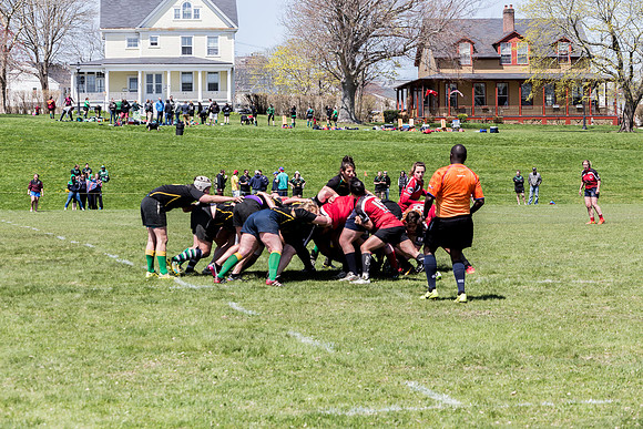IMG_7359.jpg
