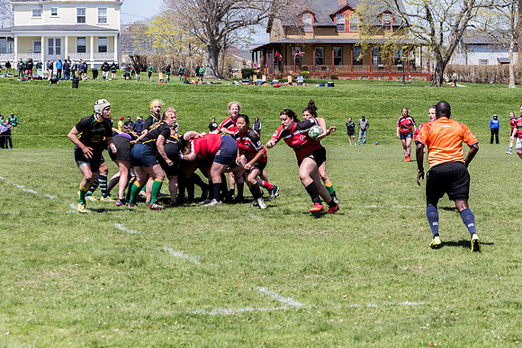IMG_7362.jpg