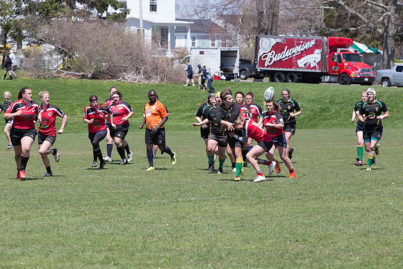 IMG_7390.jpg