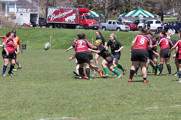 IMG_7393.jpg