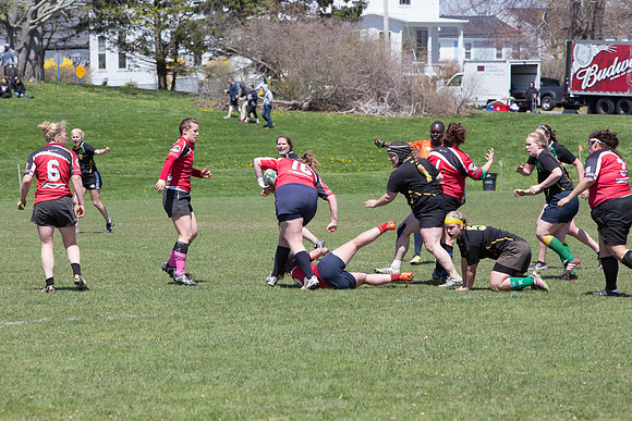 IMG_7395.jpg