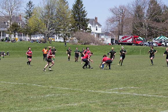 IMG_7401.jpg