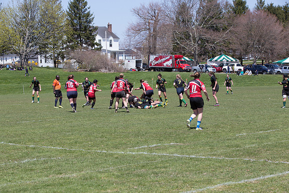 IMG_7403.jpg