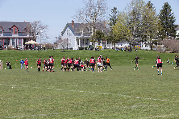 IMG_7405.jpg
