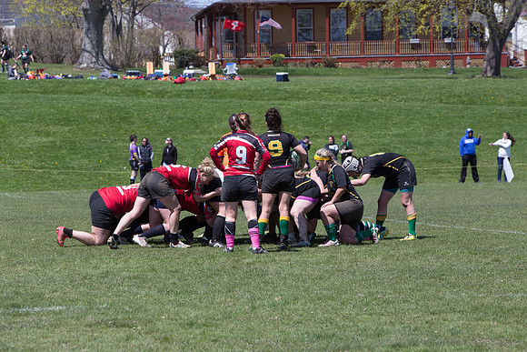 IMG_7428.jpg