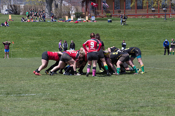 IMG_7429.jpg