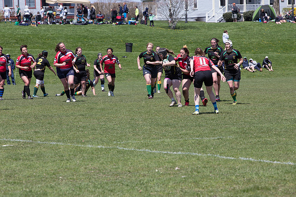 IMG_7460.jpg