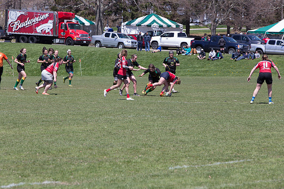 IMG_7499.jpg