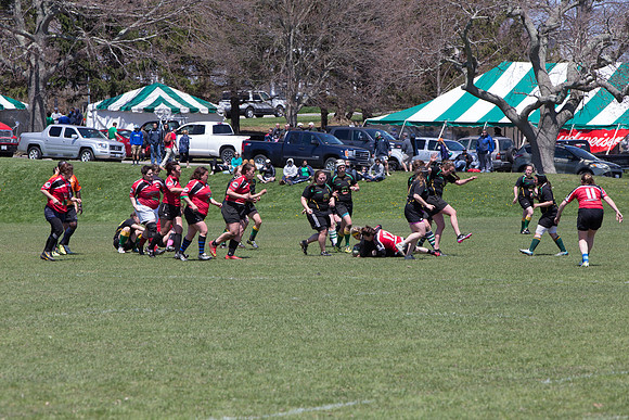 IMG_7503.jpg