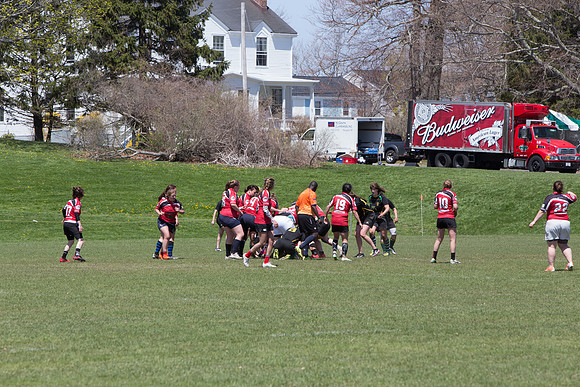 IMG_7512.jpg