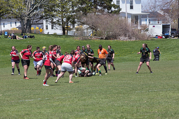IMG_7525.jpg
