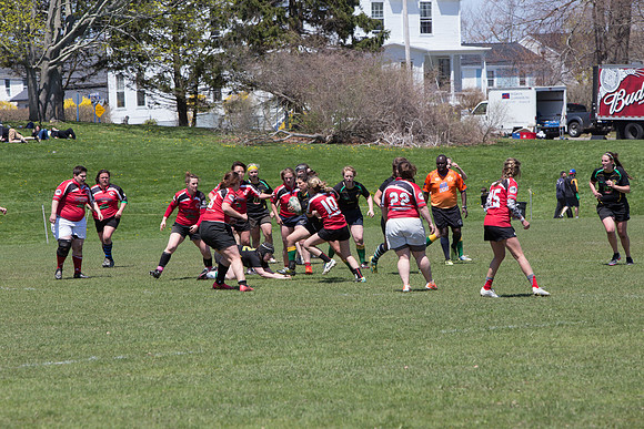 IMG_7527.jpg