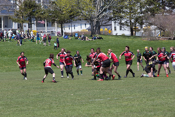 IMG_7529.jpg