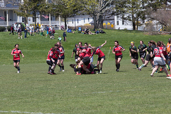 IMG_7530.jpg