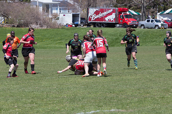 IMG_7532.jpg
