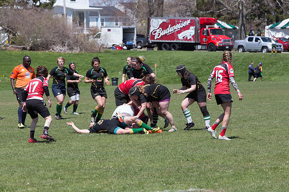 IMG_7533.jpg