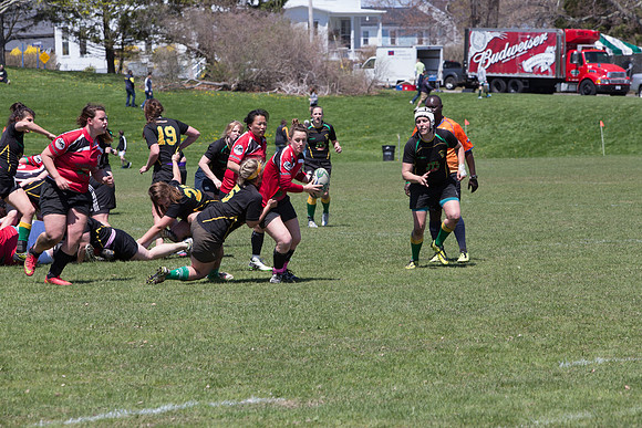 IMG_7542.jpg