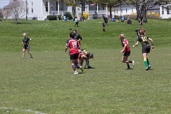 IMG_7558.jpg
