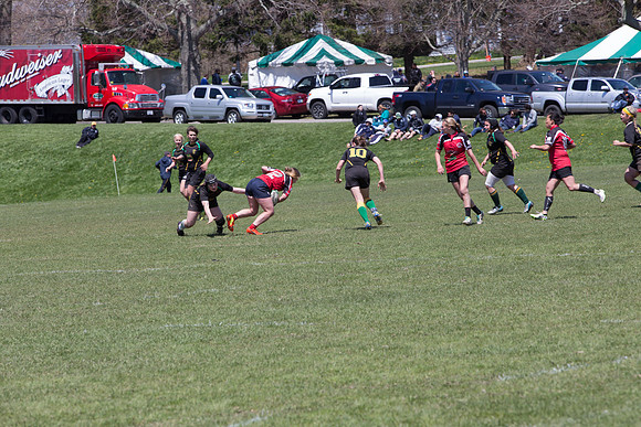 IMG_7581.jpg