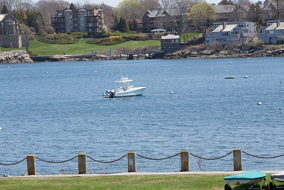IMG_7587.jpg