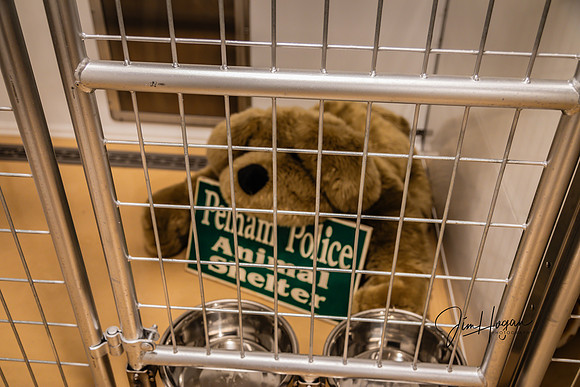 2024 Pelham Animal Shelter Opening 06-29-4697