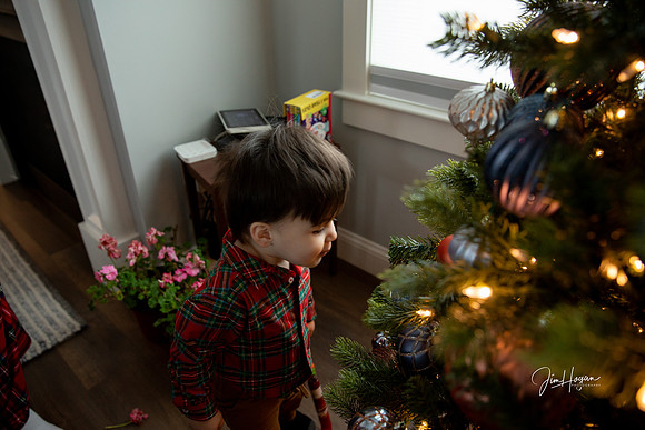 2025 Christmas-2668