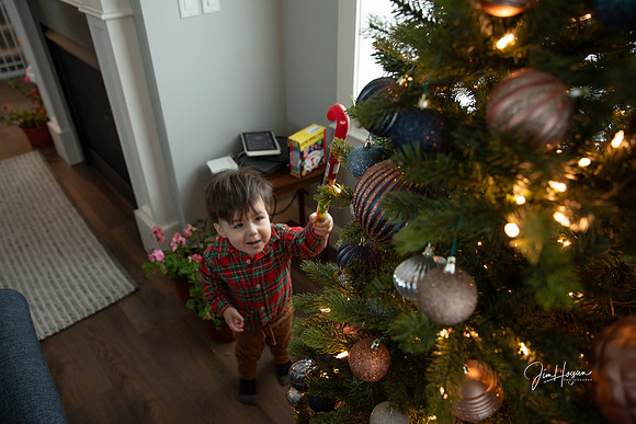 2025 Christmas-2674