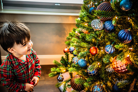 2025 Christmas-2699