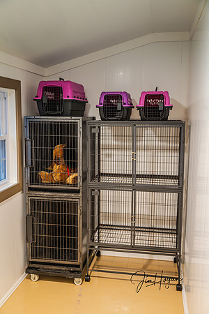 2024 Pelham Animal Shelter Opening 06-29-4700