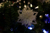 2014 Festival of Trees