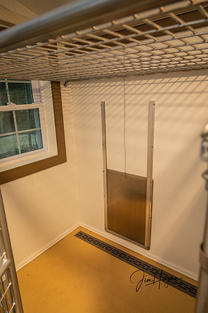 2024 Pelham Animal Shelter Opening 06-29-4704