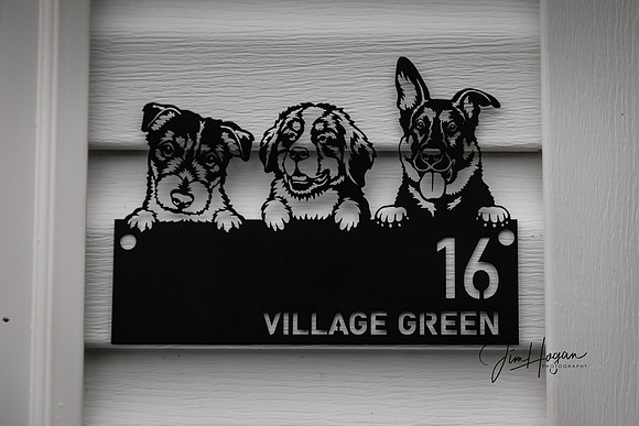 2024 Pelham Animal Shelter Opening 06-29-4696