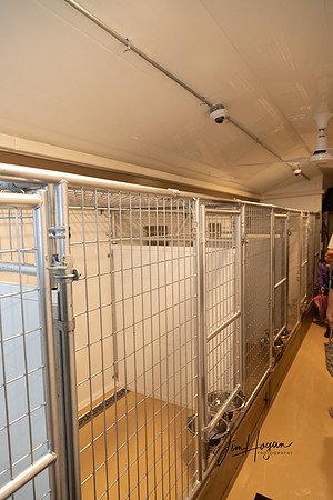 2024 Pelham Animal Shelter Opening 06-29-4711